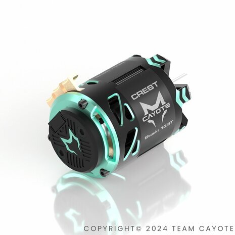 CAYOTE Crest Stocki 13.5T Brushless Motor