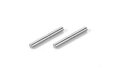 XRAY TITAN REAR ARM PIVOT PIN (2) - 307322